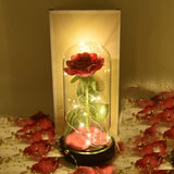 LED Rose Lamp  Light  Powered Romantic