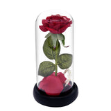 LED Rose Lamp  Light  Powered Romantic